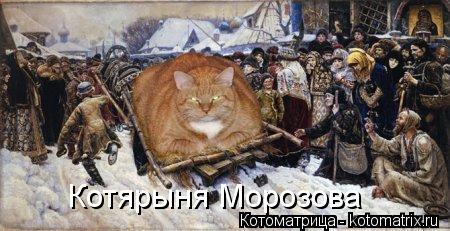 Котярыня Морозова... Котоматрица: Котярыня Морозова
