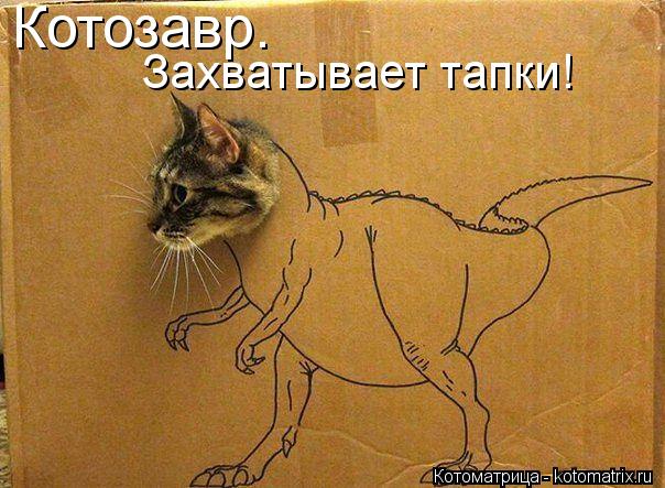Котозавр. Захватывает тапки!... Котоматрица: Котозавр. Захватывает тапки!