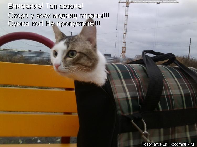 Внимание! Топ сезона! Скоро у всех модниц страны!!! Сумка кот! Не пропустите!!!... Котоматрица: Внимание! Топ сезона! Скоро у всех модниц страны!!! Сумка кот! Не пропустите!!!