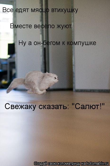 Все едят мясцо втихушку Ну а он-бегом к компушке Вместе весело жуют. Свежаку сказать: "Салют!"... Котоматрица: Все едят мясцо втихушку Ну а он-бегом к компушке Вместе весело жуют. Свежаку сказать: "Салют!"