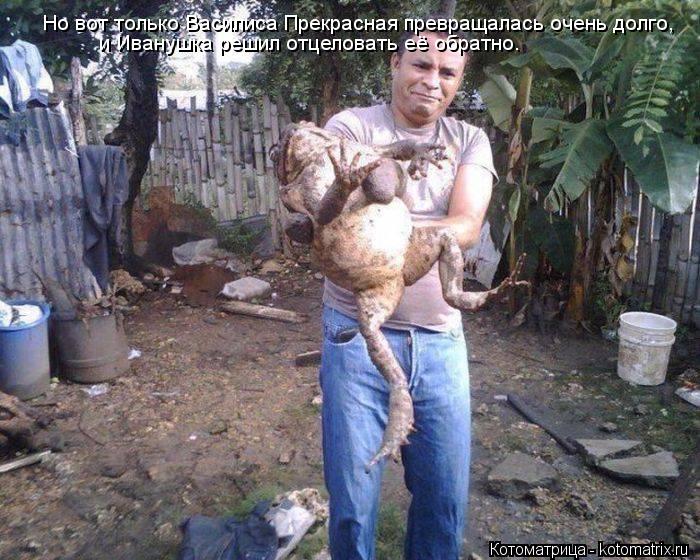 Но вот только Василиса Прекрасная превращалась очень долго, и Иванушка решил отцеловать её обратно.... Котоматрица: Но вот только Василиса Прекрасная превращалась очень долго, и Иванушка решил отцеловать её обратно.
