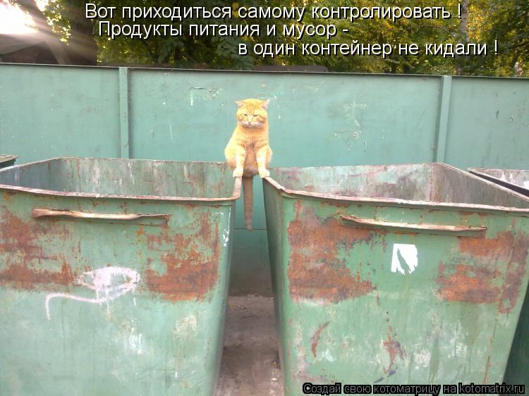 Вот приходиться самому контролировать ! Продукты питания и мусор - в один контейнер не кидали !... Котоматрица: Вот приходиться самому контролировать ! Продукты питания и мусор - в один контейнер не кидали !