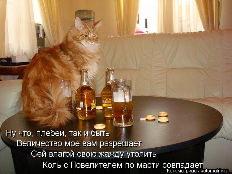 Ну что, плебеи, так и быть Величество мое вам разрешает Сей влагой свою жажду утолить Коль с Повелите... Котоматрица: Ну что, плебеи, так и быть Величество мое вам разрешает Сей влагой свою жажду утолить Коль с Повелителем по масти совпадает