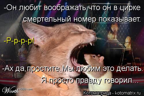-Он любит воображать,что он в цирке смертельный номер показывает. -Р-р-р-р! -Ах да,простите.Мы любим ... Котоматрица: -Он любит воображать,что он в цирке смертельный номер показывает. -Р-р-р-р! -Ах да,простите.Мы любим это делать. Я просто правду говорил...