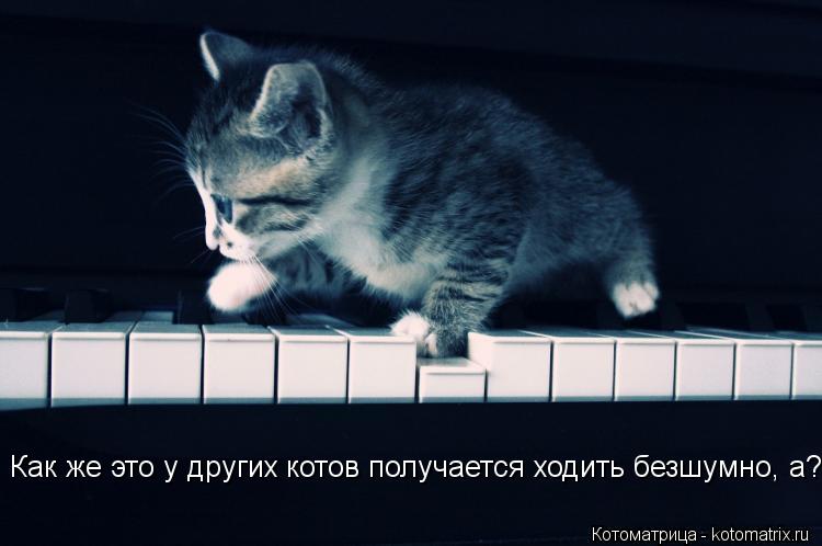 Как же это у других котов получается ходить безшумно, а?... Котоматрица: Как же это у других котов получается ходить безшумно, а?
