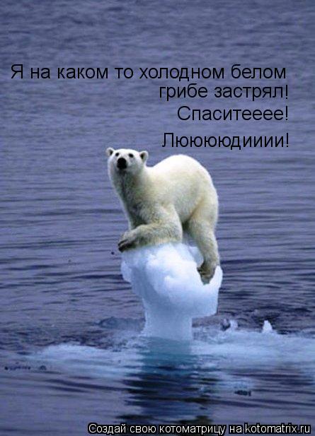 Лююююдииии! Спаситееее! Я на каком то холодном белом грибе застрял !... Котоматрица: Лююююдииии! Спаситееее! Я на каком то холодном белом грибе застрял !