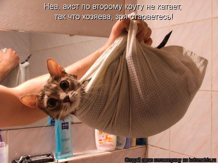 Неа, аист по второму кругу не катает, так что хозяева, зря стараетесь!... Котоматрица: Неа, аист по второму кругу не катает, так что хозяева, зря стараетесь!