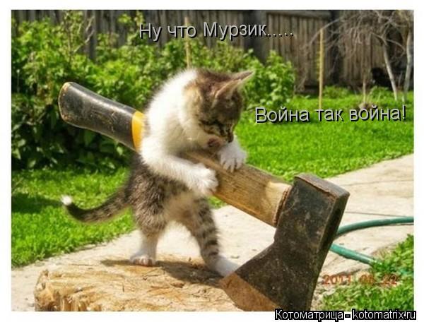 Ну что Мурзик..... Война так война!... Котоматрица: Ну что Мурзик..... Война так война!