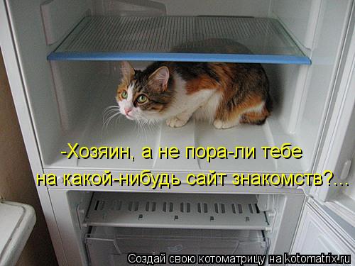 -Хозяин, а не пора-ли тебе на какой-нибудь сайт знакомств?...... Котоматрица: -Хозяин, а не пора-ли тебе на какой-нибудь сайт знакомств?...