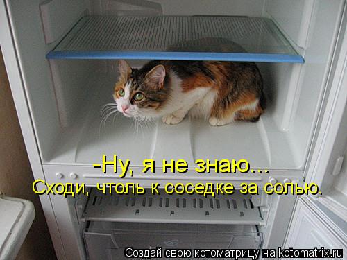 -Ну, я не знаю... Сходи, чтоль к соседке за солью.... Котоматрица: -Ну, я не знаю... Сходи, чтоль к соседке за солью.