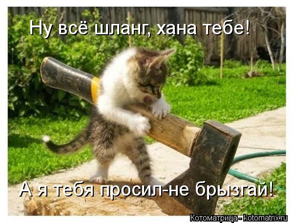 Ну всё шланг, хана тебе! А я тебя просил-не брызгай!... Котоматрица: Ну всё шланг, хана тебе! А я тебя просил-не брызгай!