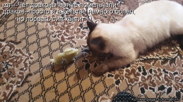 кот---Чёт драконы нынче помельчали ! дракон--просто я в детстве немного болел, но порвать сил хватит ... Котоматрица: кот---Чёт драконы нынче помельчали ! дракон--просто я в детстве немного болел, но порвать сил хватит !