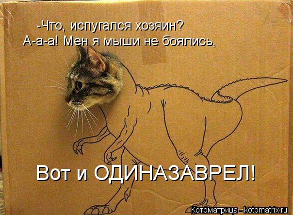А-а-а! Мен я мыши не боялись, Вот и ОДИНАЗАВРЕЛ! -Что, испугался хозяин?... Котоматрица: А-а-а! Мен я мыши не боялись, Вот и ОДИНАЗАВРЕЛ! -Что, испугался хозяин?