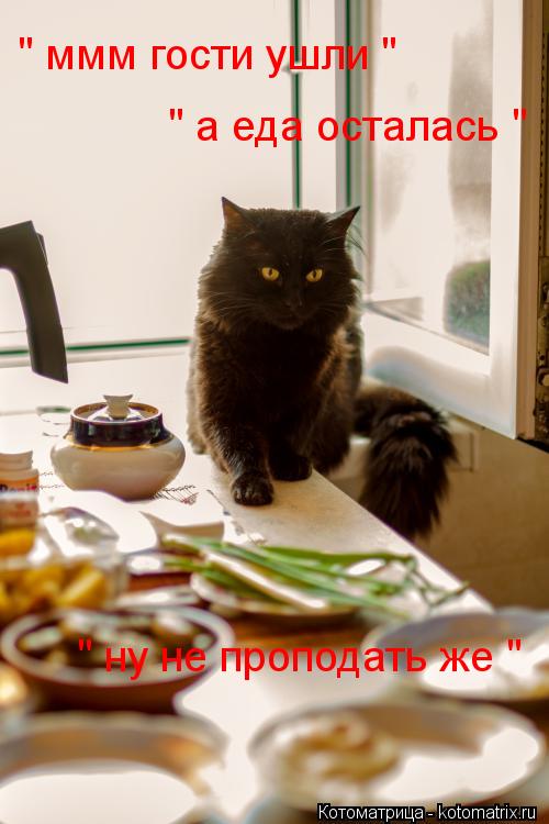 " ммм гости ушли " " а еда осталась " " ну не проподать же "... Котоматрица: " ммм гости ушли " " а еда осталась " " ну не проподать же "