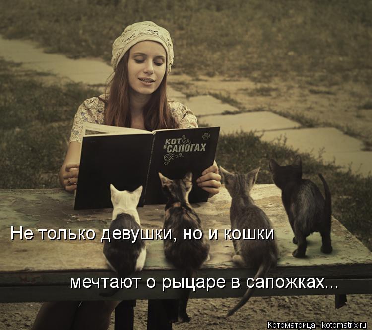 Котоматрица: Не только девушки, но и кошки  мечтают о рыцаре в сапожках...