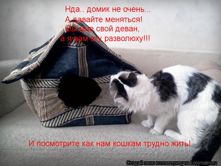 Котоматрица: Нда.. домик не очень... А давайте меняться! Вы мне свой деван, а я вам эту разволюху!!! И посмотрите как нам кошкам трудно жить!