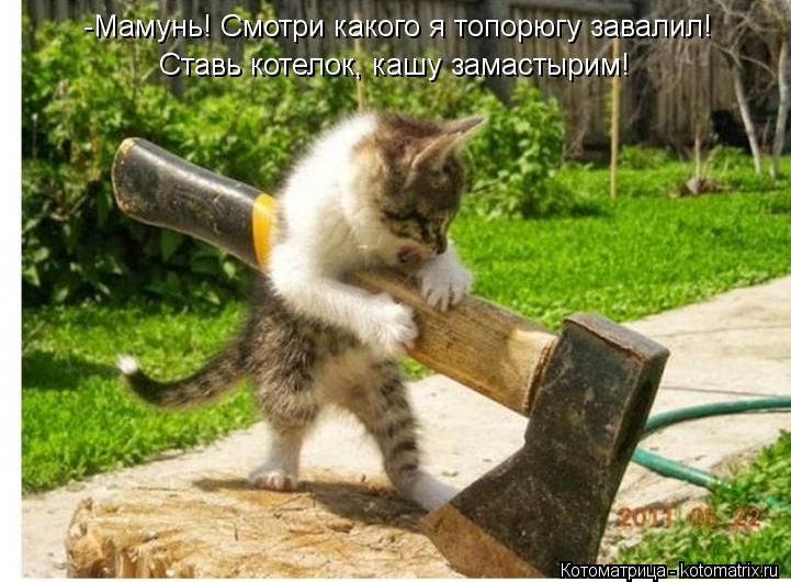 -Мамунь! Смотри какого я топорюгу завалил! Ставь котелок, кашу замастырим!... Котоматрица: -Мамунь! Смотри какого я топорюгу завалил! Ставь котелок, кашу замастырим!