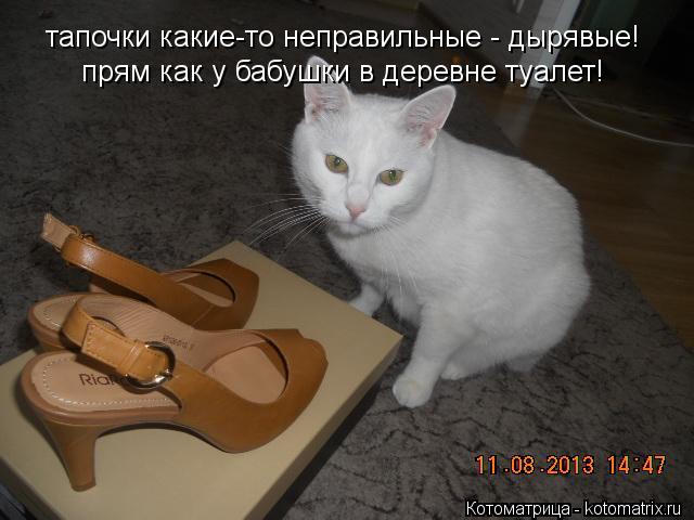 тапочки какие-то неправильные - дырявые! прям как у бабушки в деревне туалет!... Котоматрица: тапочки какие-то неправильные - дырявые! прям как у бабушки в деревне туалет!