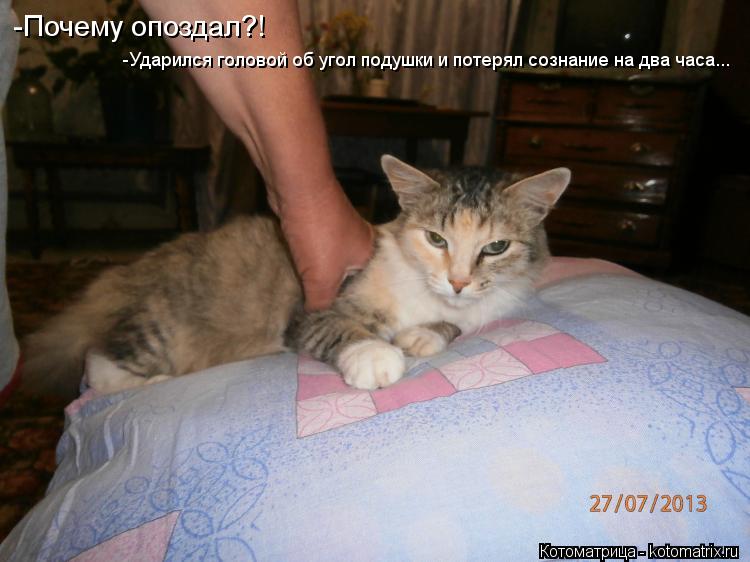 Котоматрица: -Почему опоздал?! -Ударился головой об угол подушки и потерял сознание на два часа...