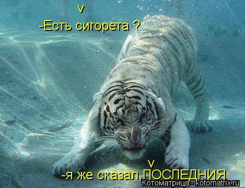 -Есть сигорета ? -я же сказал,ПОСЛЕДНИЯ v v... Котоматрица: -Есть сигорета ? -я же сказал,ПОСЛЕДНИЯ v v