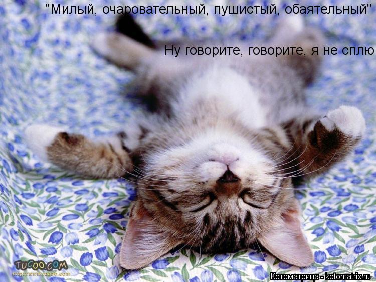 Котоматрица: "Милый, очаровательный, пушистый, обаятельный" Ну говорите, говорите, я не сплю