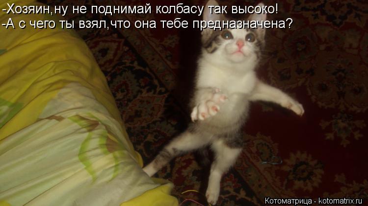Котоматрица: -Хозяин,ну не поднимай колбасу так высоко! -А с чего ты взял,что она тебе предназначена?
