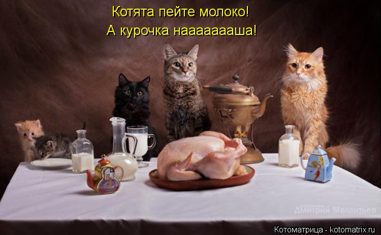 Котоматрица: Котята пейте молоко! А курочка наааааааша!