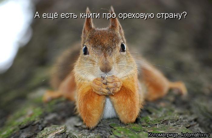 А ещё есть книги про ореховую страну?... Котоматрица: А ещё есть книги про ореховую страну?