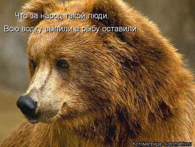 Что за народ такой люди, Всю водку выпили,а рыбу оставили.... Котоматрица: Что за народ такой люди, Всю водку выпили,а рыбу оставили.