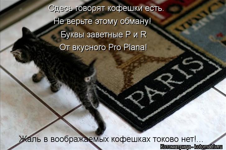 Не верьте этому обману! Сдесь говорят кофешки есть. Буквы заветные P и R От вкусного Pro Plana! Жаль ... Котоматрица: Не верьте этому обману! Сдесь говорят кофешки есть. Буквы заветные P и R От вкусного Pro Plana! Жаль в воображаемых кофешках токово нет!...