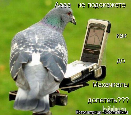 до как Махачкалы долететь??? Аааа не подскажете... Котоматрица: до как Махачкалы долететь??? Аааа не подскажете