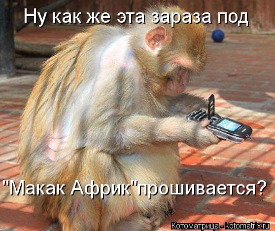 Котоматрица: Ну как же эта зараза под "Макак Африк"прошивается?