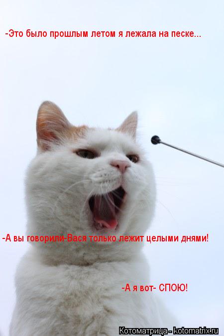 -Это было прошлым летом я лежала на песке... -А вы говорили-Вася только лежит целыми днями! -А я вот-... Котоматрица: -Это было прошлым летом я лежала на песке... -А вы говорили-Вася только лежит целыми днями! -А я вот- СПОЮ!