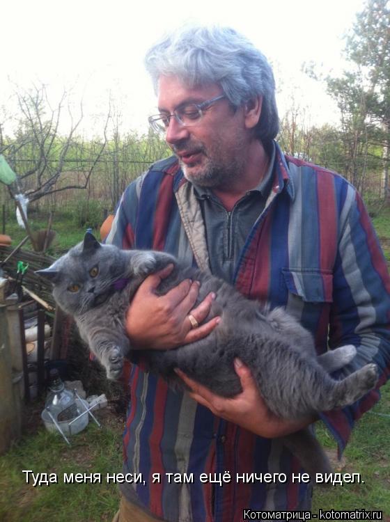 Котоматрица: Туда меня неси, я там ещё ничего не видел.