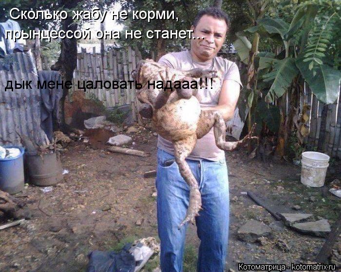 Сколько жабу не корми, прынцессой она не станет... дык мене цаловать надааа!!!... Котоматрица: Сколько жабу не корми, прынцессой она не станет... дык мене цаловать надааа!!!