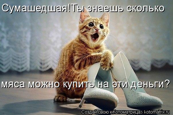 Сумашедшая!Ты знаешь сколько мяса можно купить на эти деньги?... Котоматрица: Сумашедшая!Ты знаешь сколько мяса можно купить на эти деньги?