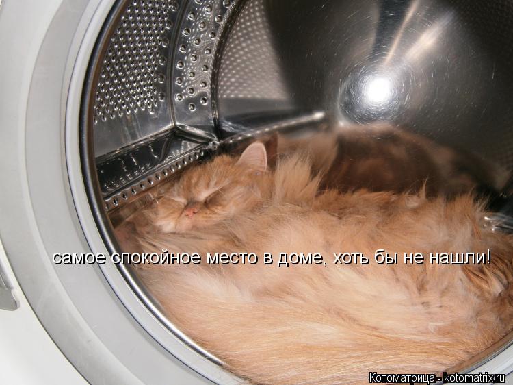 самое спокойное место в доме, хоть бы не нашли!... Котоматрица: самое спокойное место в доме, хоть бы не нашли!