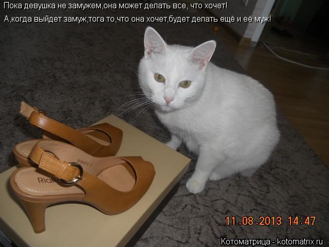 Котоматрица: Пока девушка не замужем,она может делать все, что хочет! А,когда выйдет замуж,тога то,что она хочет,будет делать ещё и её муж!