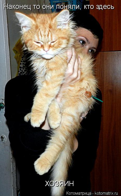 Котоматрица: Наконец то они поняли, кто здесь  ХОЗЯИН