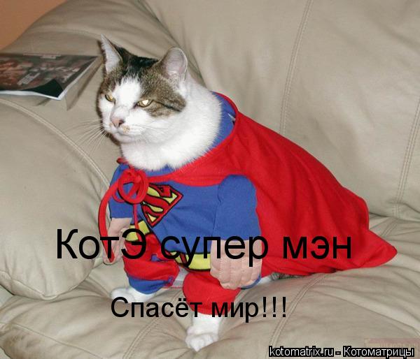 Котоматрица: КотЭ супер мэн Спасёт мир!!!