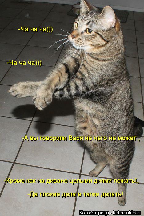 -А вы говорили Вася не чего не может , -Да плохие дела в тапки делать! -Ча ча ча))) -Ча ча ча))) -Кро... Котоматрица: -А вы говорили Вася не чего не может , -Да плохие дела в тапки делать! -Ча ча ча))) -Ча ча ча))) -Кроме как на диване целыми днями лежать!,
