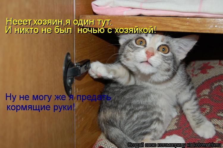 Нееет,хозяин,я один тут. И никто не был ночью с хозяйкой! Ну не могу же я предать кормящие руки!... Котоматрица: Нееет,хозяин,я один тут. И никто не был ночью с хозяйкой! Ну не могу же я предать кормящие руки!