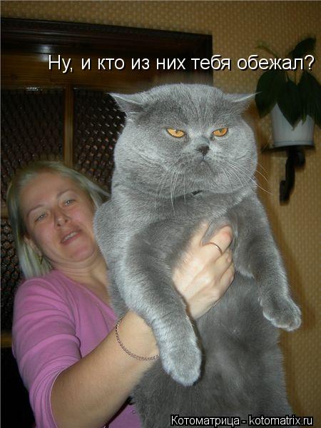 Котоматрица: Ну, и кто из них тебя обежал?