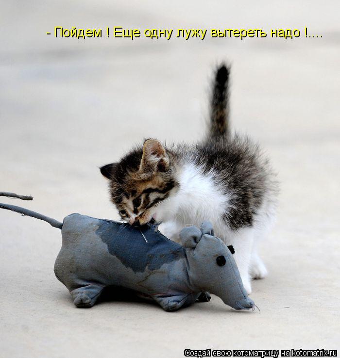 - Пойдем ! Еще одну лужу вытереть надо !....... Котоматрица: - Пойдем ! Еще одну лужу вытереть надо !....