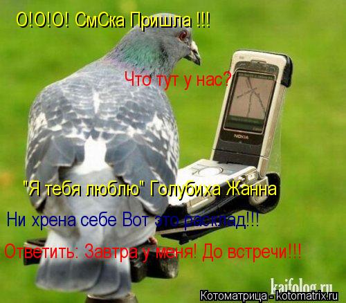 О!О!О! СмСка Пришла !!! Что тут у нас? "Я тебя люблю" Голубиха Жанна Ни хрена себе Вот это расклад... Котоматрица: О!О!О! СмСка Пришла !!! Что тут у нас? "Я тебя люблю" Голубиха Жанна Ни хрена себе Вот это расклад!!! Ответить: Завтра у меня! До встречи!!!
