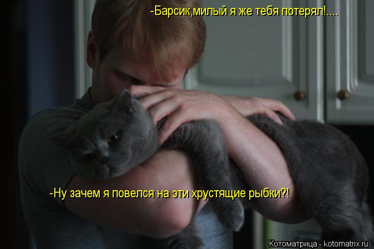 -Барсик,милый я же тебя потерял!.... -Ну зачем я повелся на эти хрустящие рыбки?!... Котоматрица: -Барсик,милый я же тебя потерял!.... -Ну зачем я повелся на эти хрустящие рыбки?!