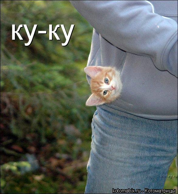 Котоматрица: ку-ку