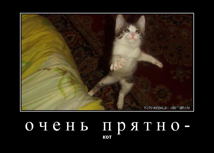 очень прятно- кот... Котоматрица: очень прятно- кот