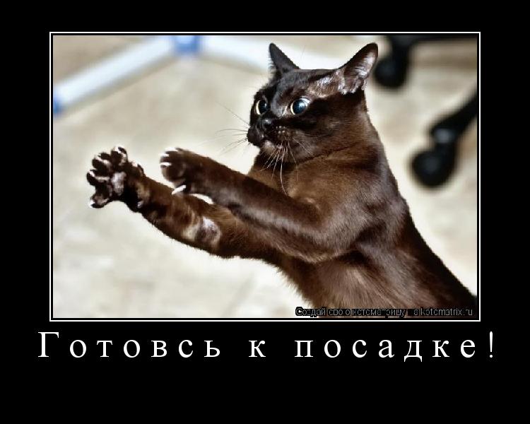 Готовсь к посадке! ... Котоматрица: Готовсь к посадке!