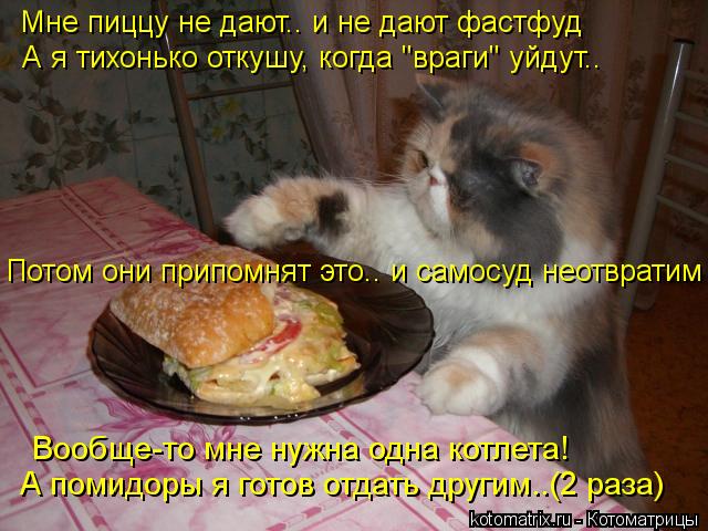 Вообще-то мне нужна одна котлета! А помидоры я готов отдать другим..(2 раза) Потом они припомнят это.... Котоматрица: Вообще-то мне нужна одна котлета! А помидоры я готов отдать другим..(2 раза) Потом они припомнят это.. и самосуд неотвратим Мне пиццу не дают..